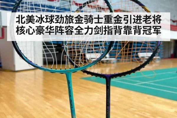 北美冰球劲旅金骑士重金引进老将核心豪华阵容全力剑指背靠背冠军